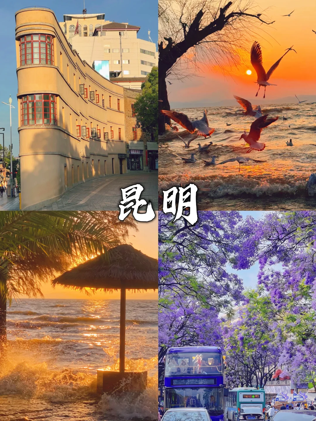 八月反向旅游！9个小众城市推荐🔥收藏不踩雷