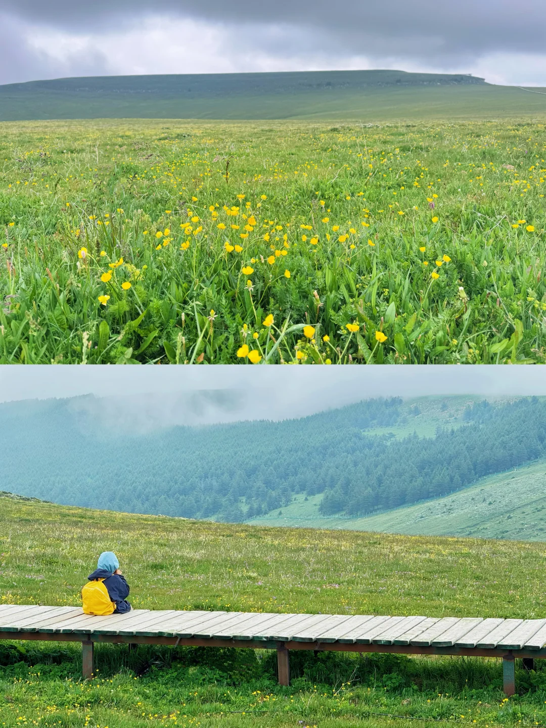 新线❗️西安3天2晚✅仿若“新疆那拉提”好凉快！