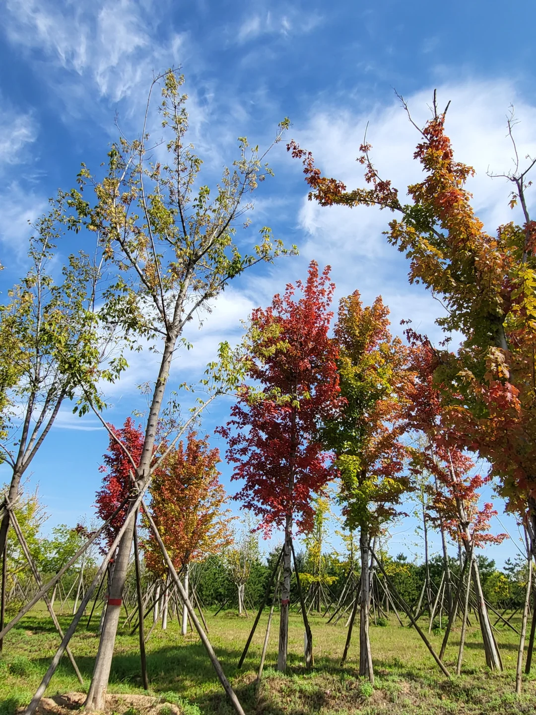 避开人流来这里～邯郸溢泉湖环湖美景