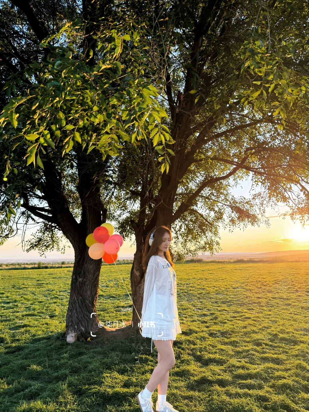 在大同！我找到了《怦然心动》同款浪漫🌳