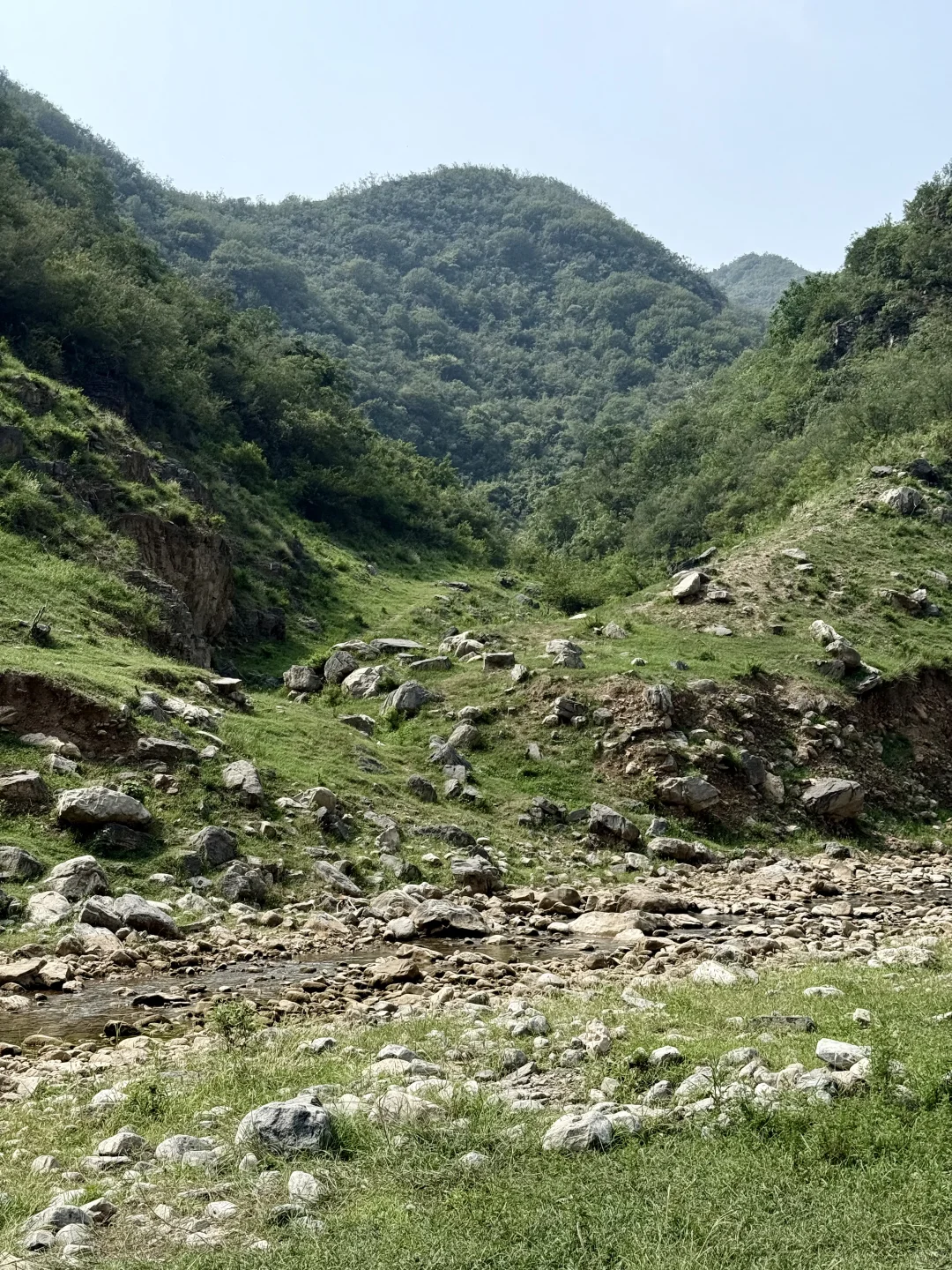 在阿勒泰？不！这是河南济源📍📍