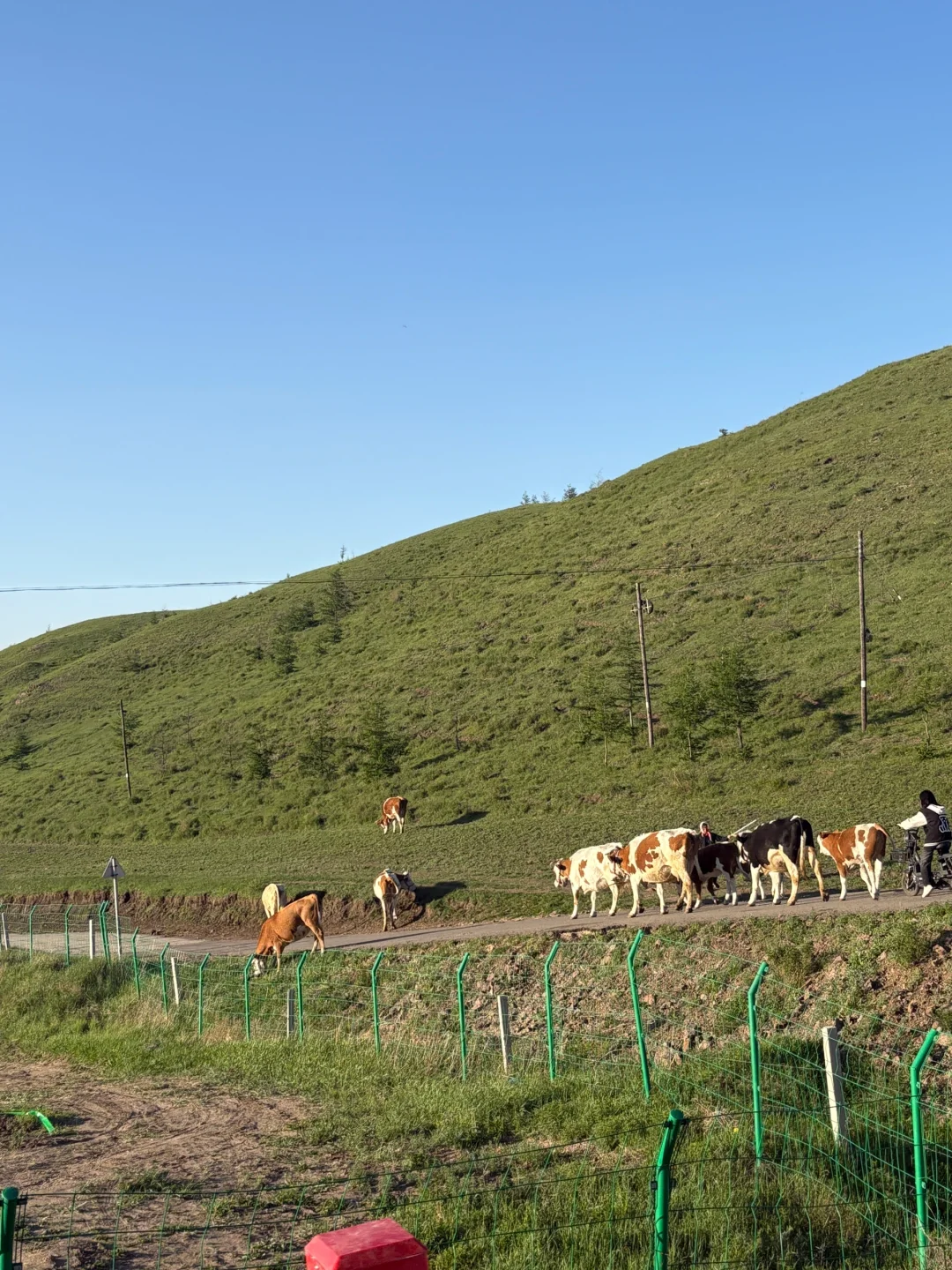 ✨周末逃离北京，去河北草原避暑度假被美哭