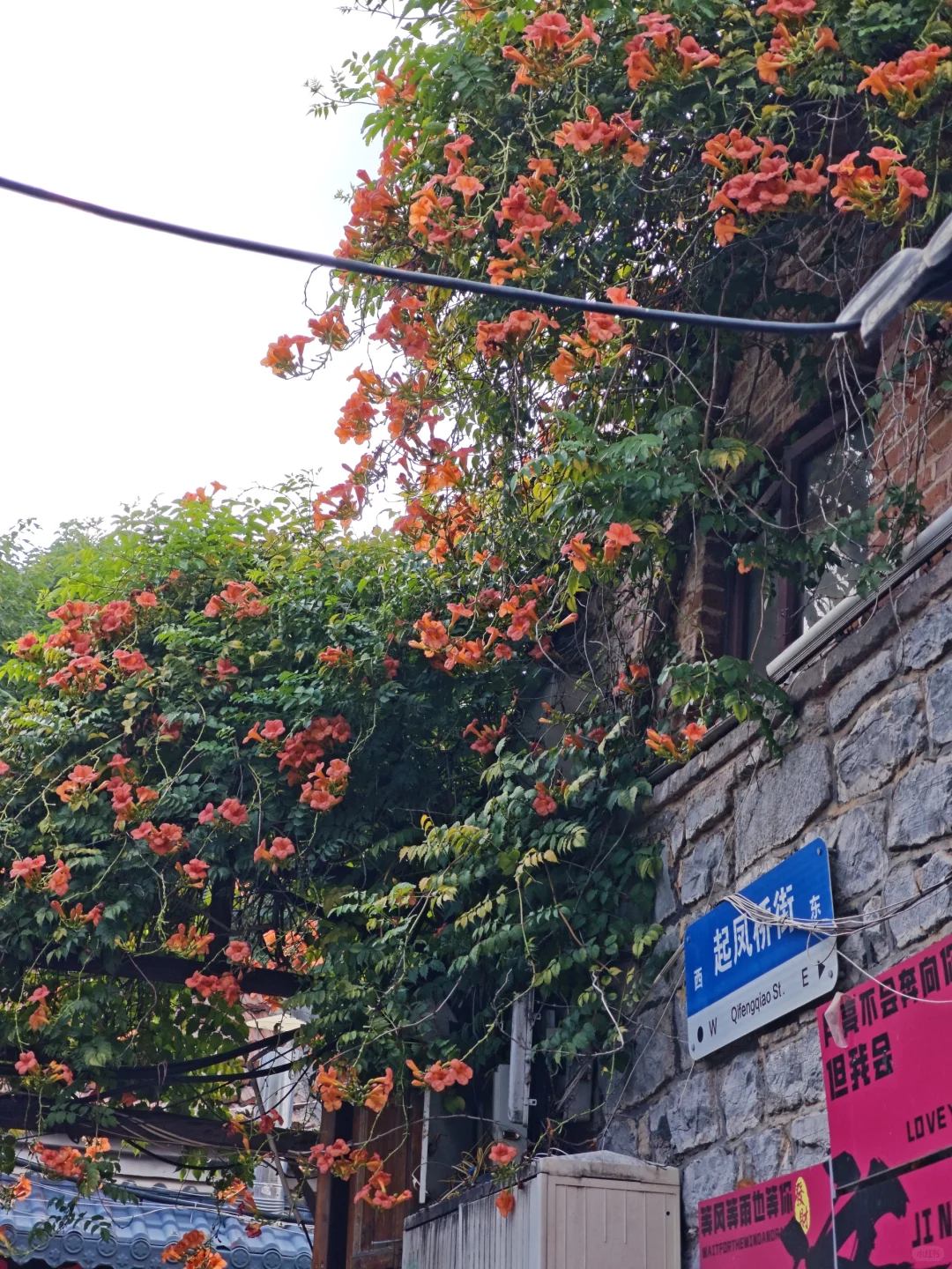 济南一日游记🌸🌸