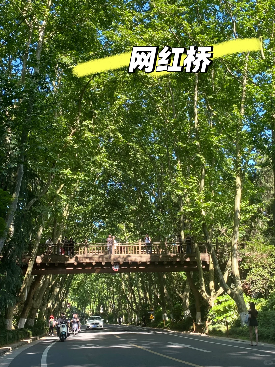 钟山风景区📍一日游🛵高效速通（电瓶车骑行）