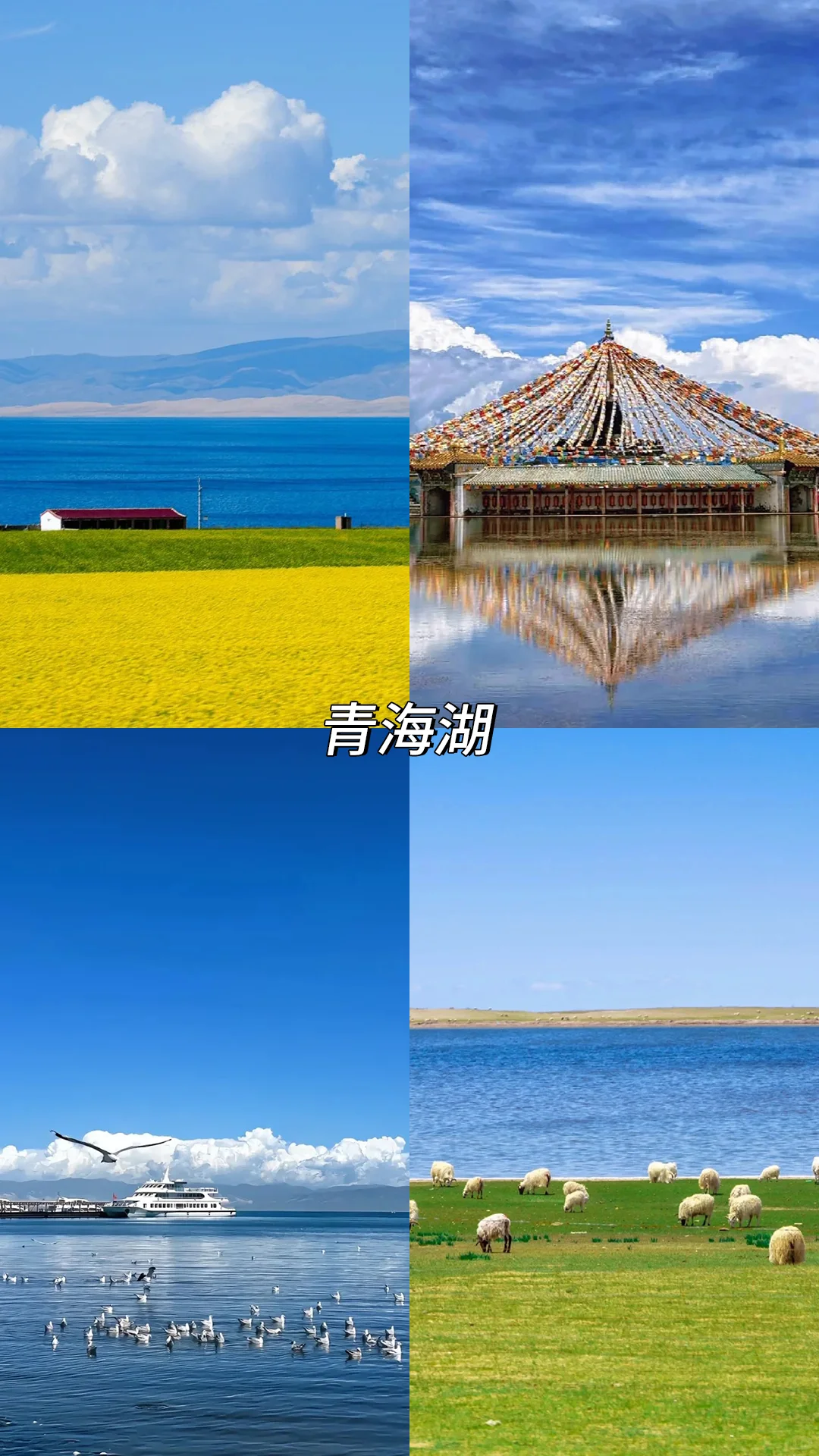 8️⃣月哪里玩✈️旅行地推荐（国内篇）