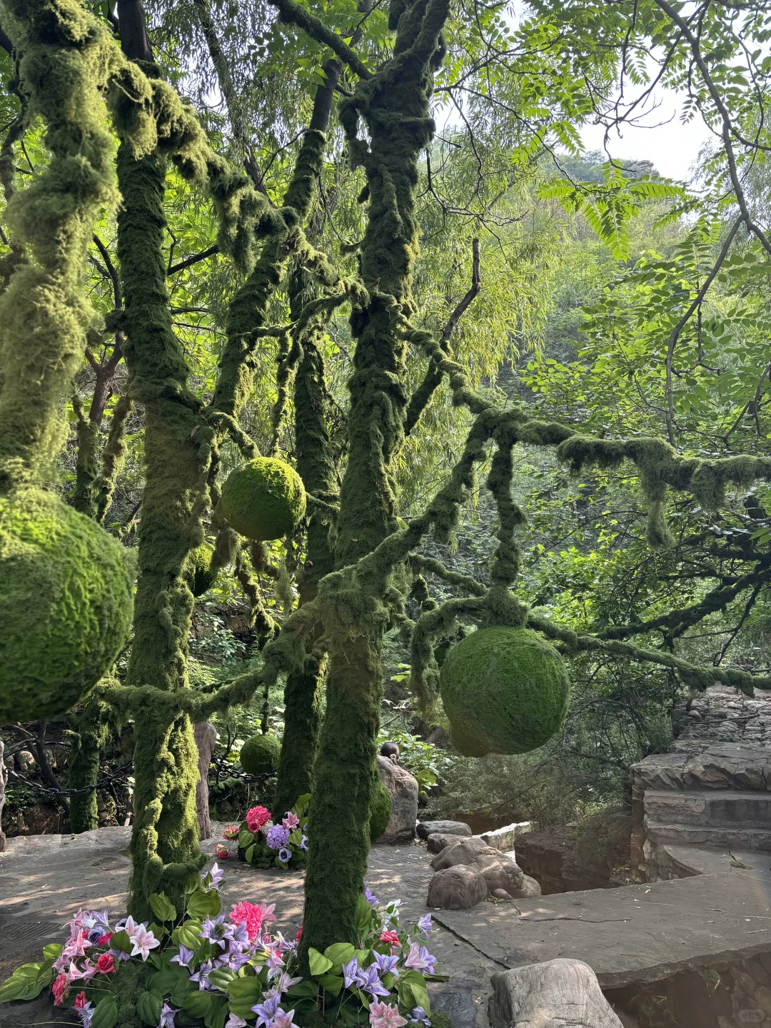 🔥 藏在邯郸的“小张家界”❗️