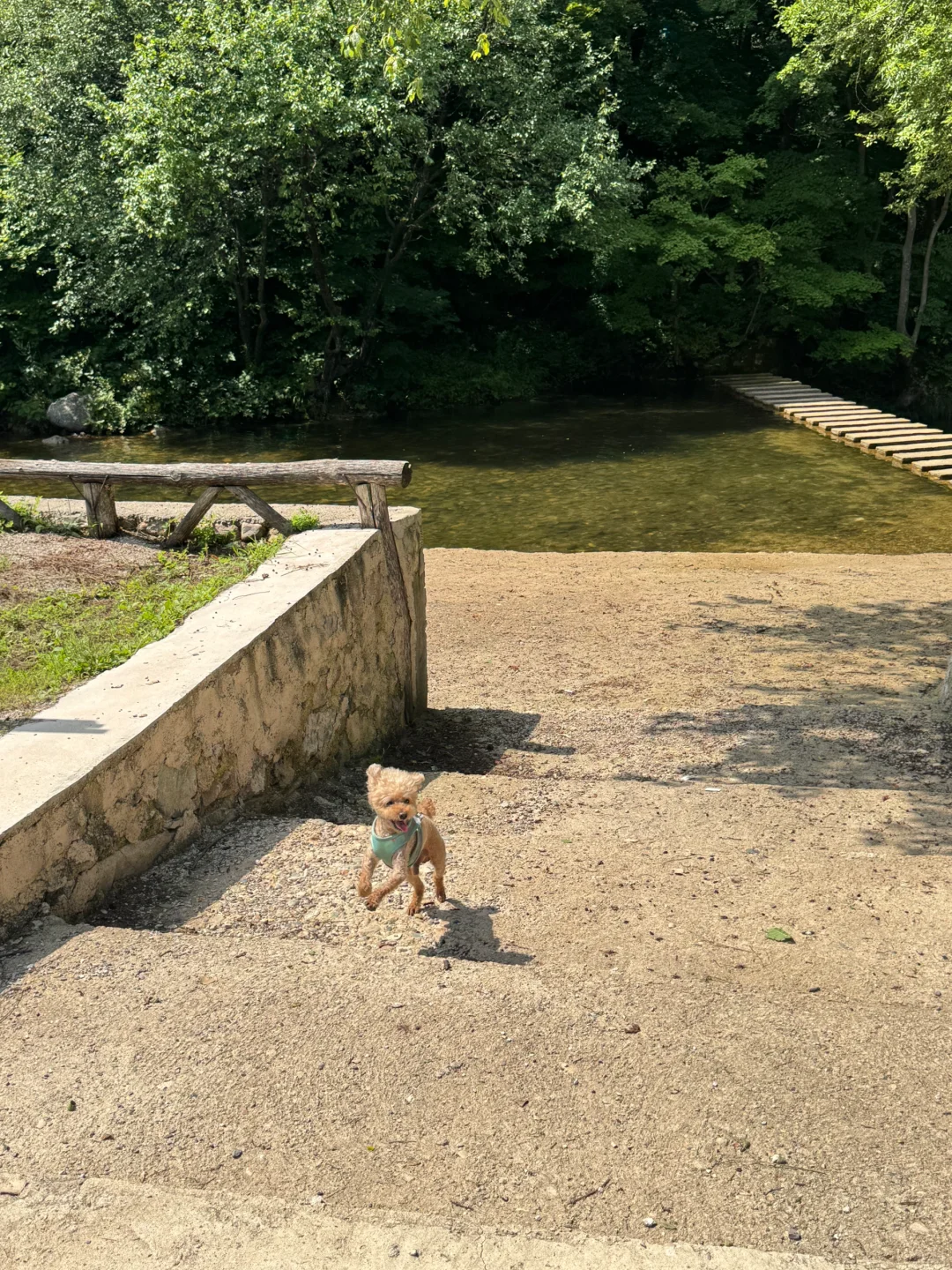距离沈阳两个小时🚗