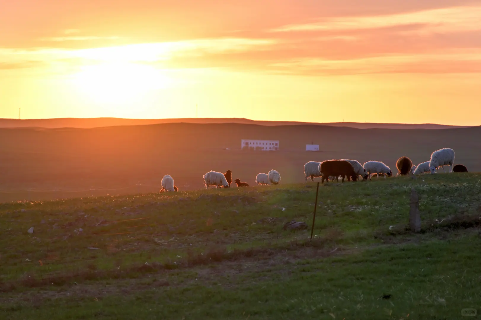 希望永远拥有出发的勇气 | 记希拉穆仁骑马