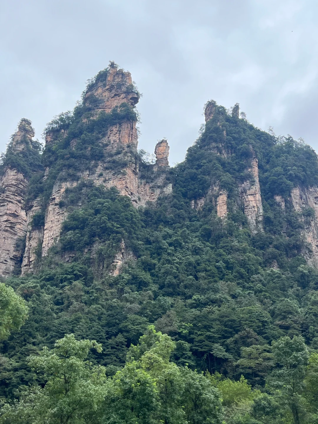 🇩🇪 德国“张家界”？德累斯顿Basteibrücke