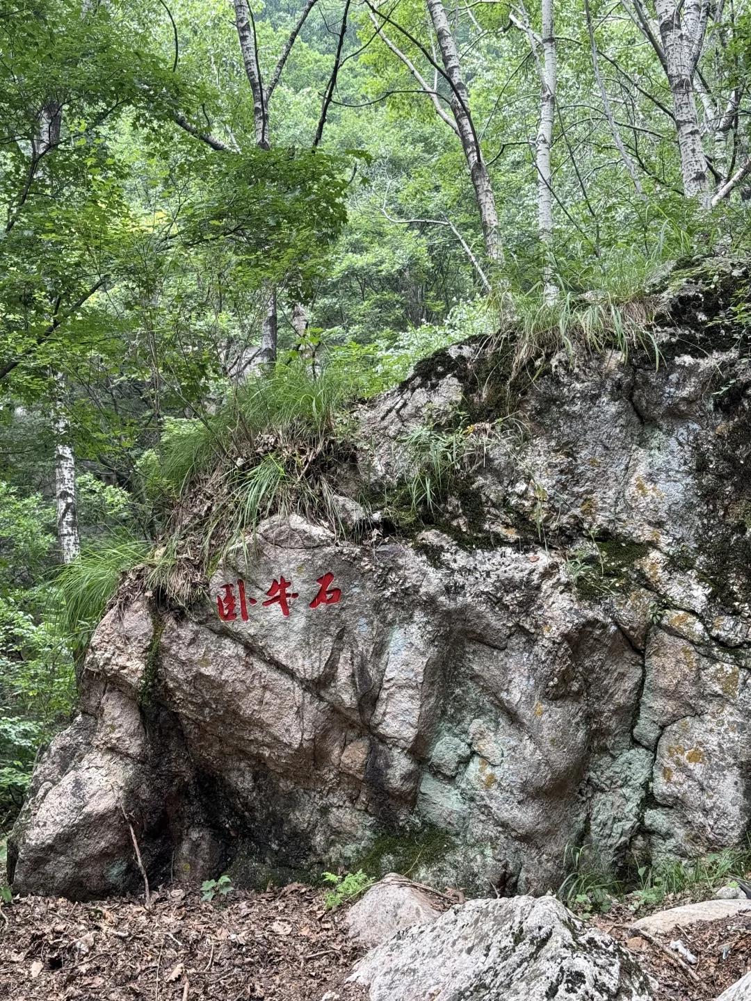 河北驼梁一日游