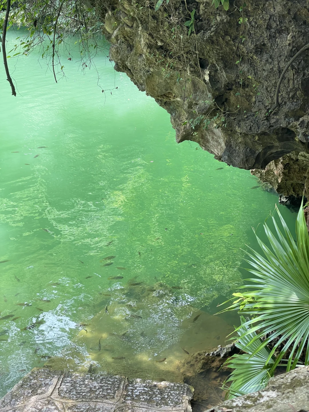 看图猜景点（柳州版）