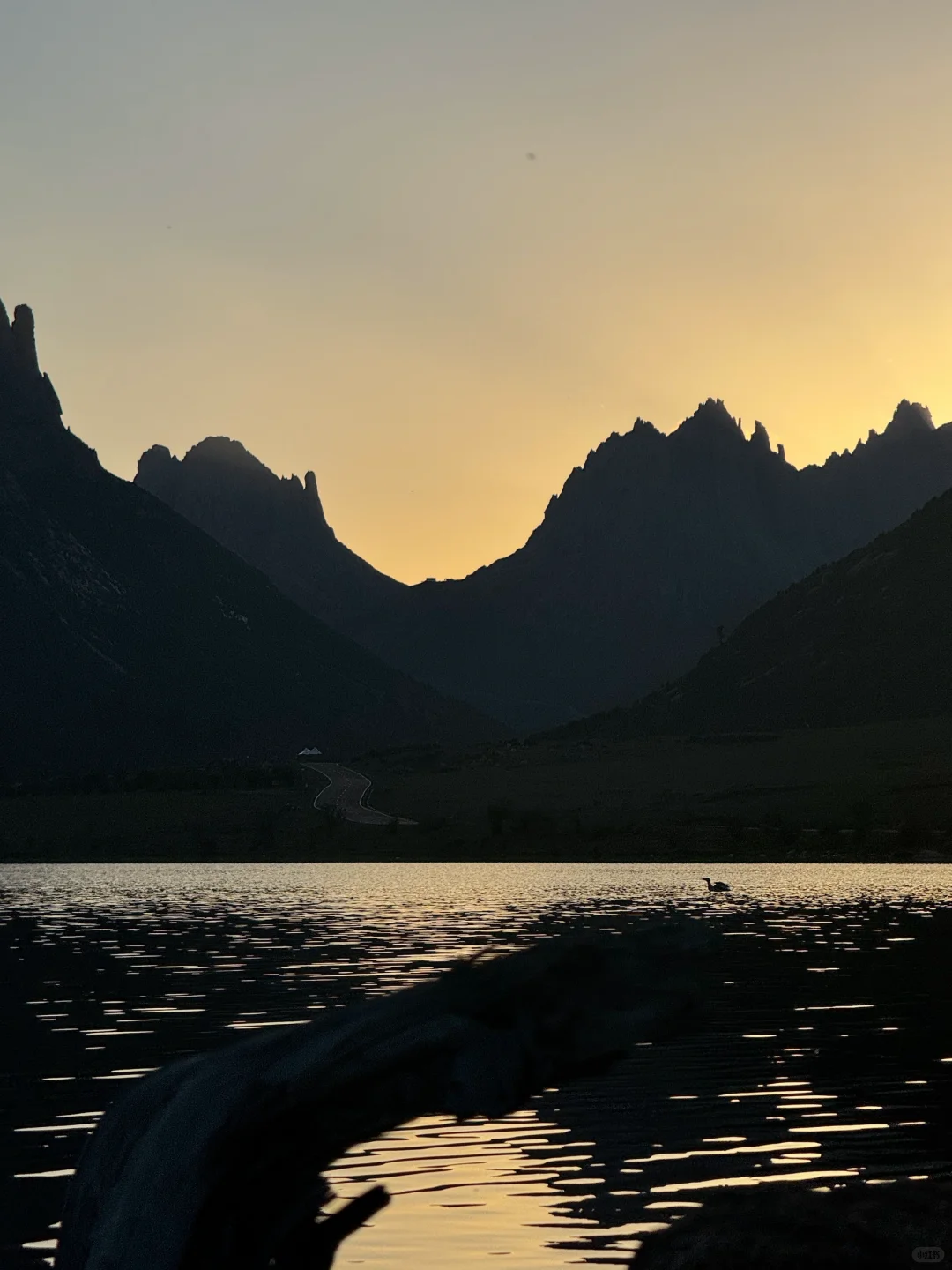 一天经历了莲宝叶则春夏秋冬