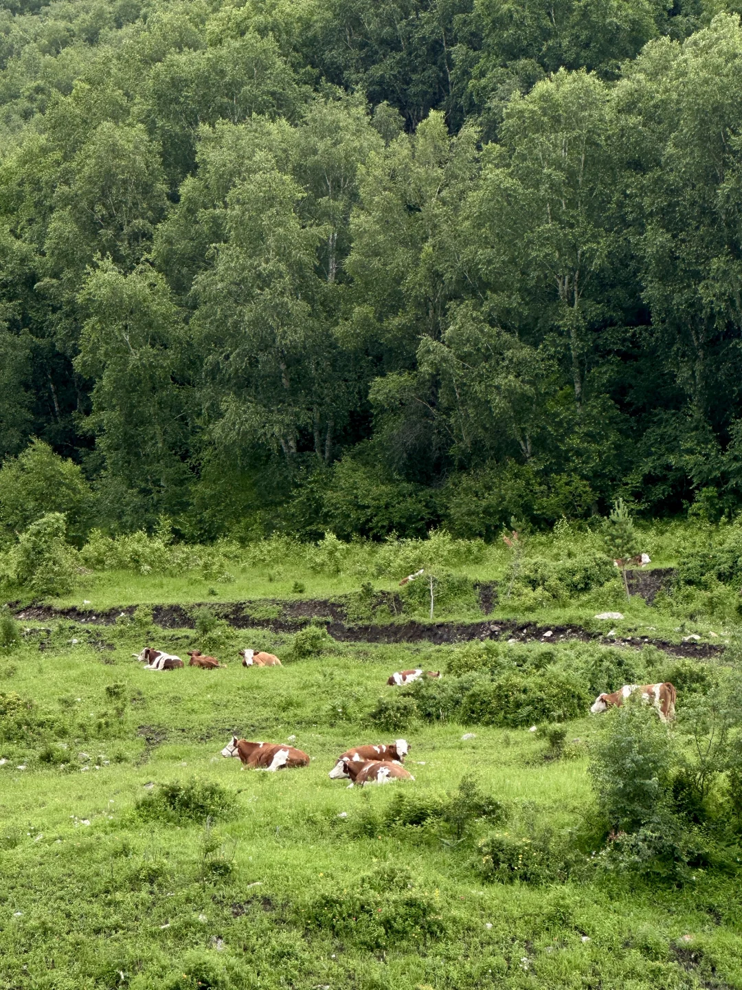 徒步崇礼，才发现“这么近那么美”不是骗人的