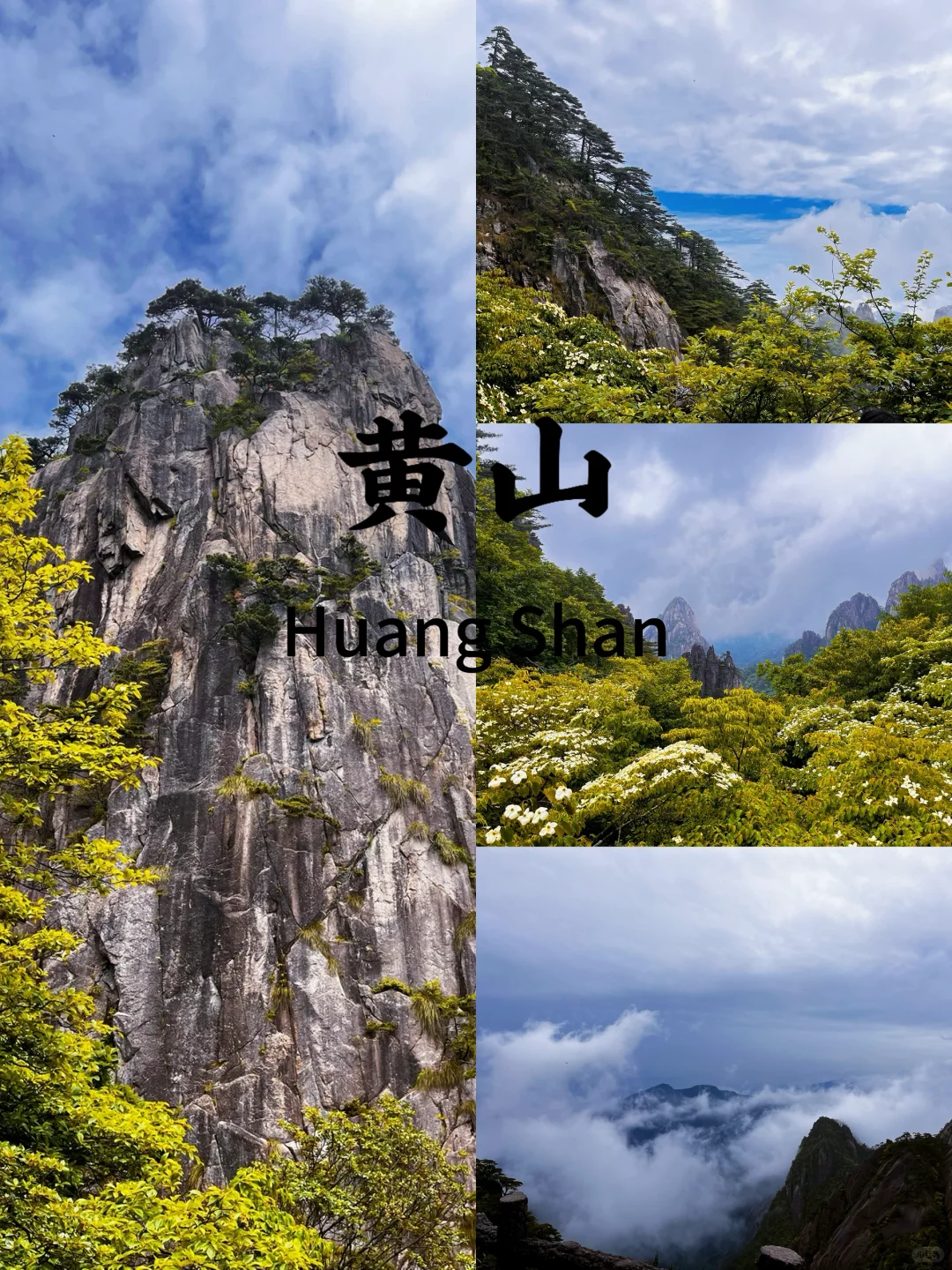 济南出发黄山、宏村｜三天竟然可以这样玩！