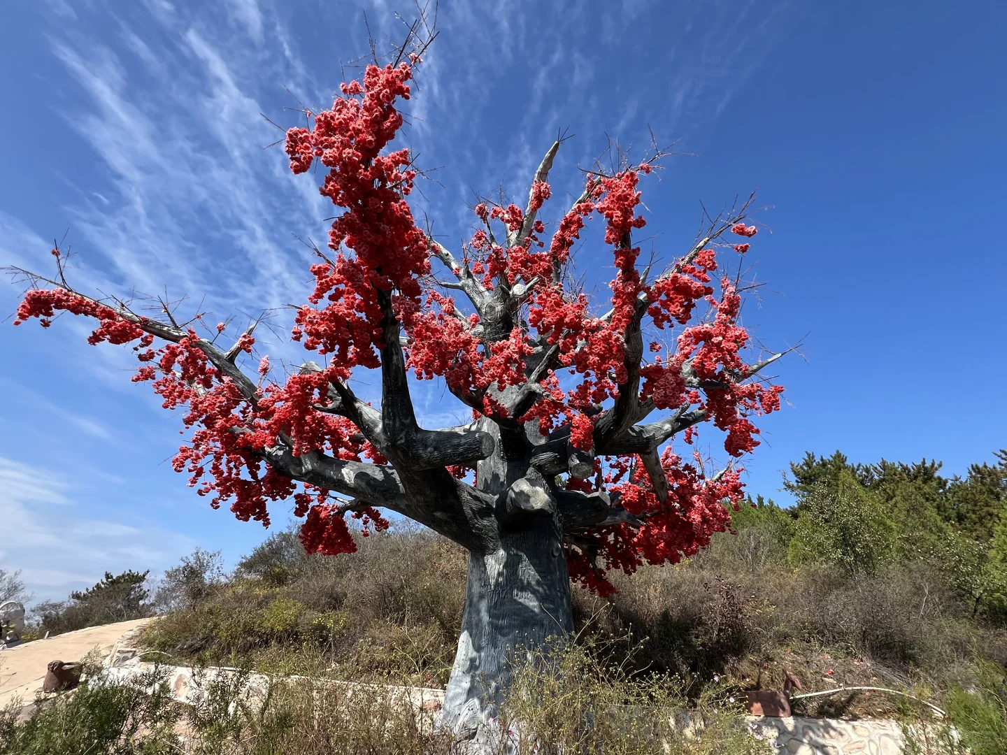 山东德州周边游-京娘湖美炸了！