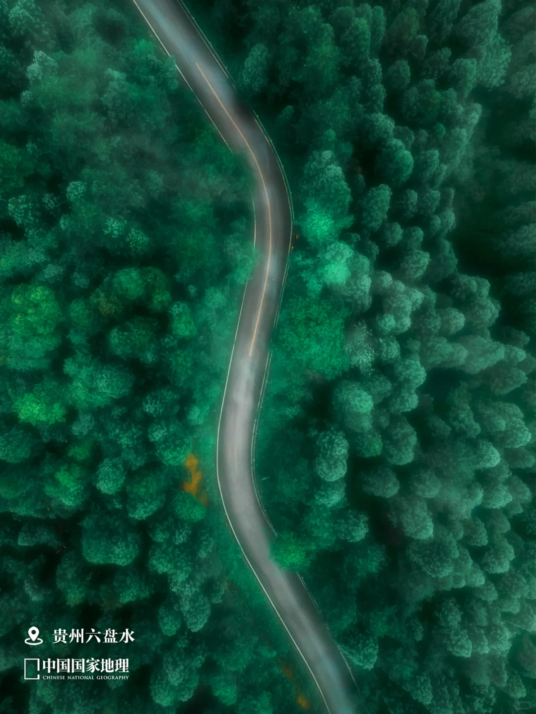 8月，应该去哪儿玩？