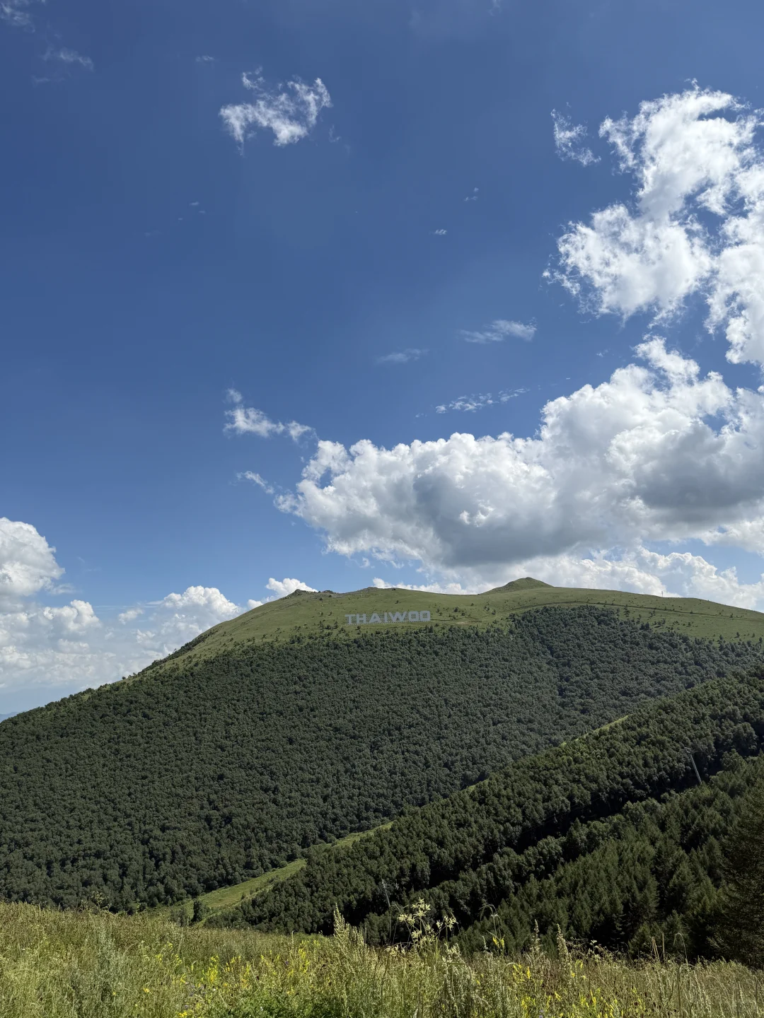 📍崇礼⛰️｜𝙏𝙃𝘼𝙄𝙒𝙊𝙊🎧