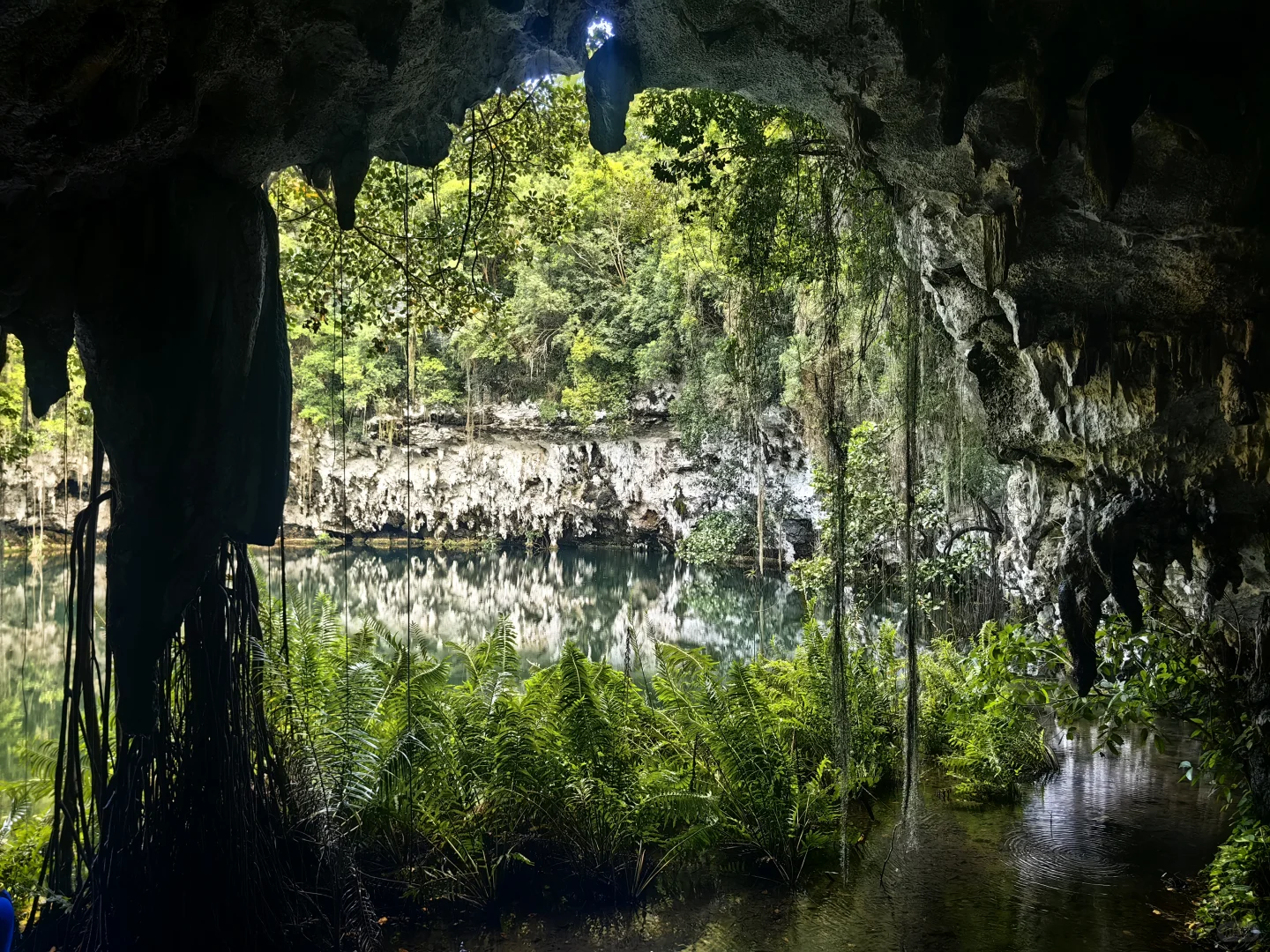 多米尼加、特立尼达及多巴哥---拉美旅游31