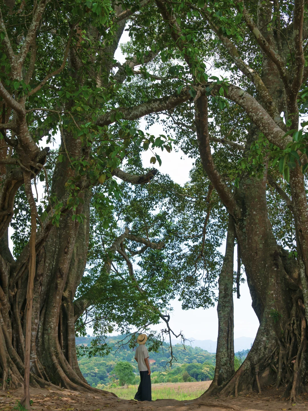 推荐一个云南绝对冷门但超级震撼的地方