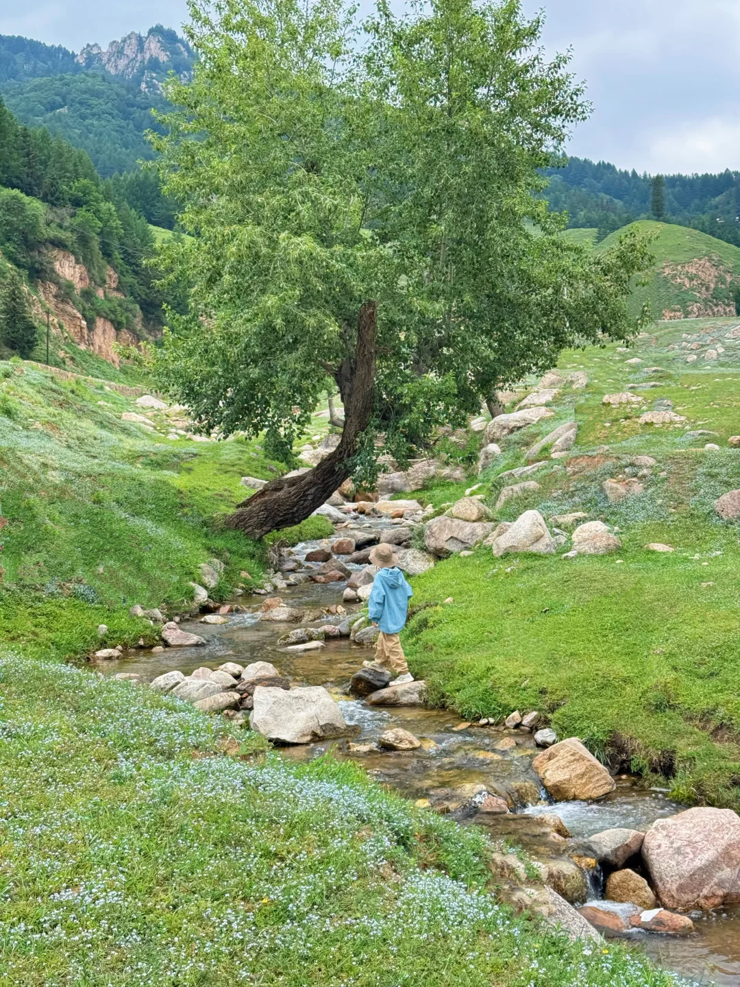 新线❗️西安3天2晚✅仿若“新疆那拉提”好凉快！