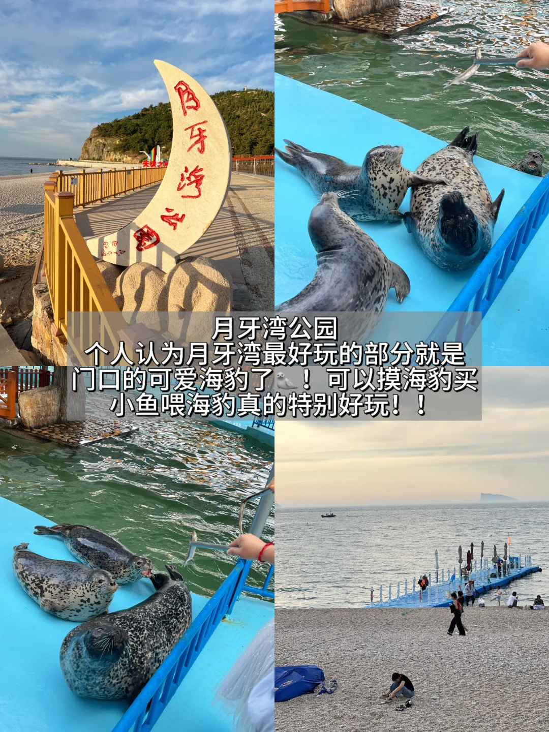 极限24h游长岛！旅游攻略码好！