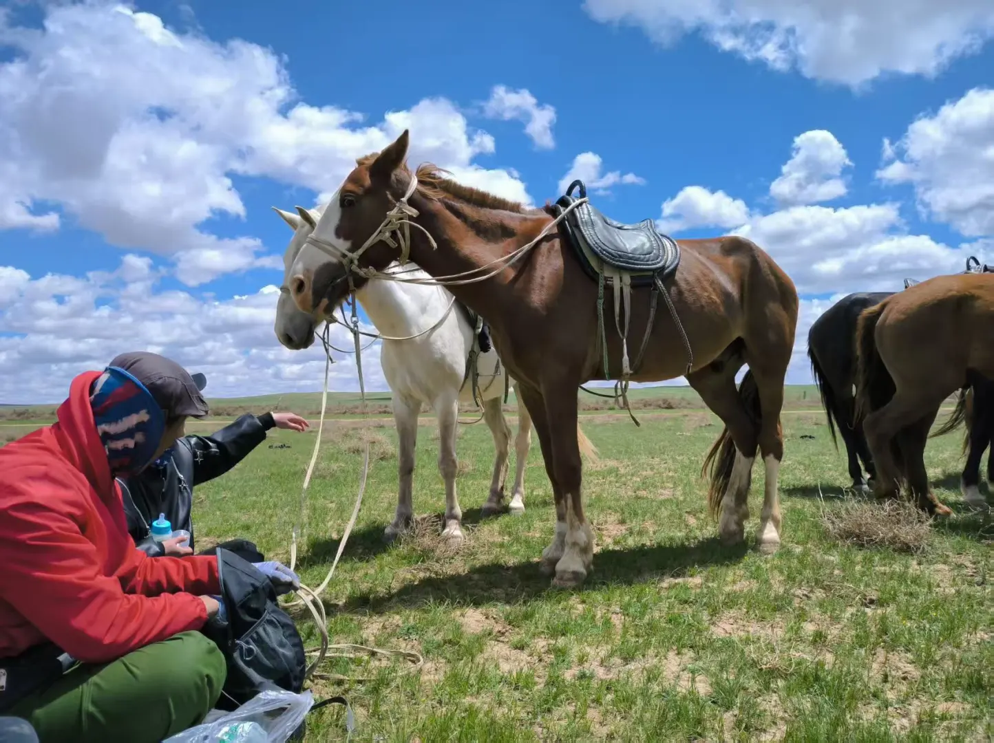 希望永远拥有出发的勇气 | 记希拉穆仁骑马