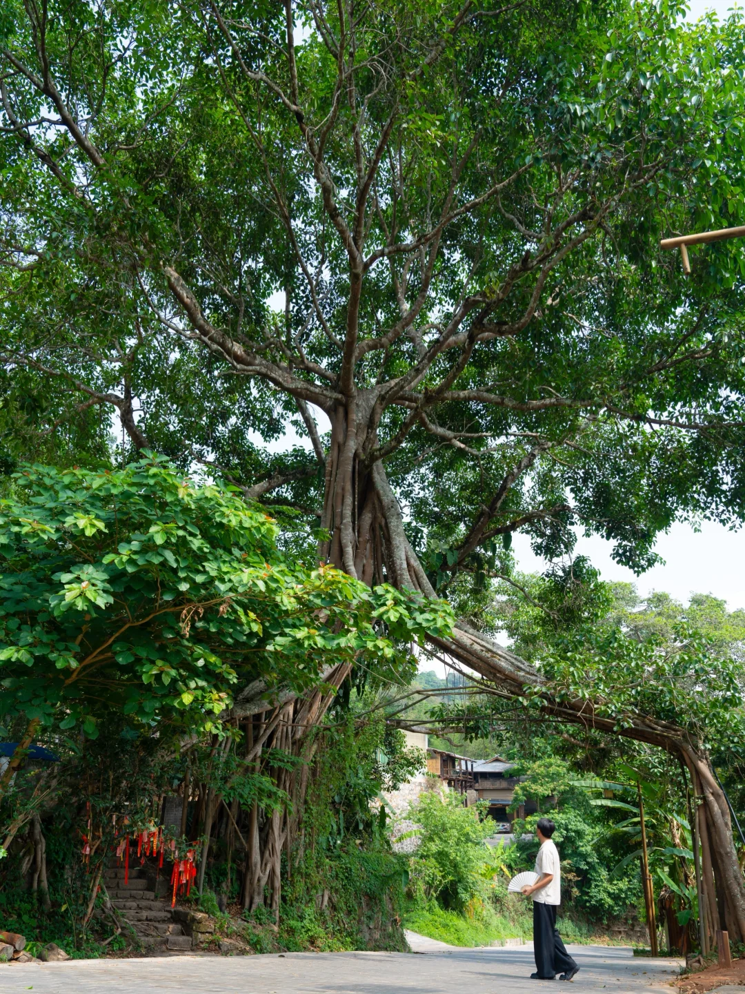 推荐一个云南绝对冷门但超级震撼的地方