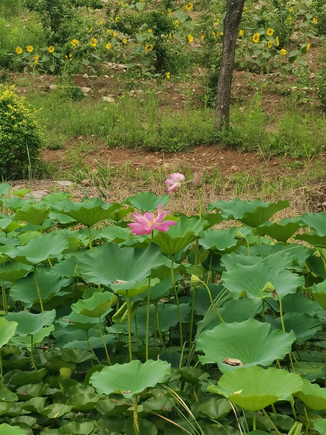河北邯郸涉县娲皇宫