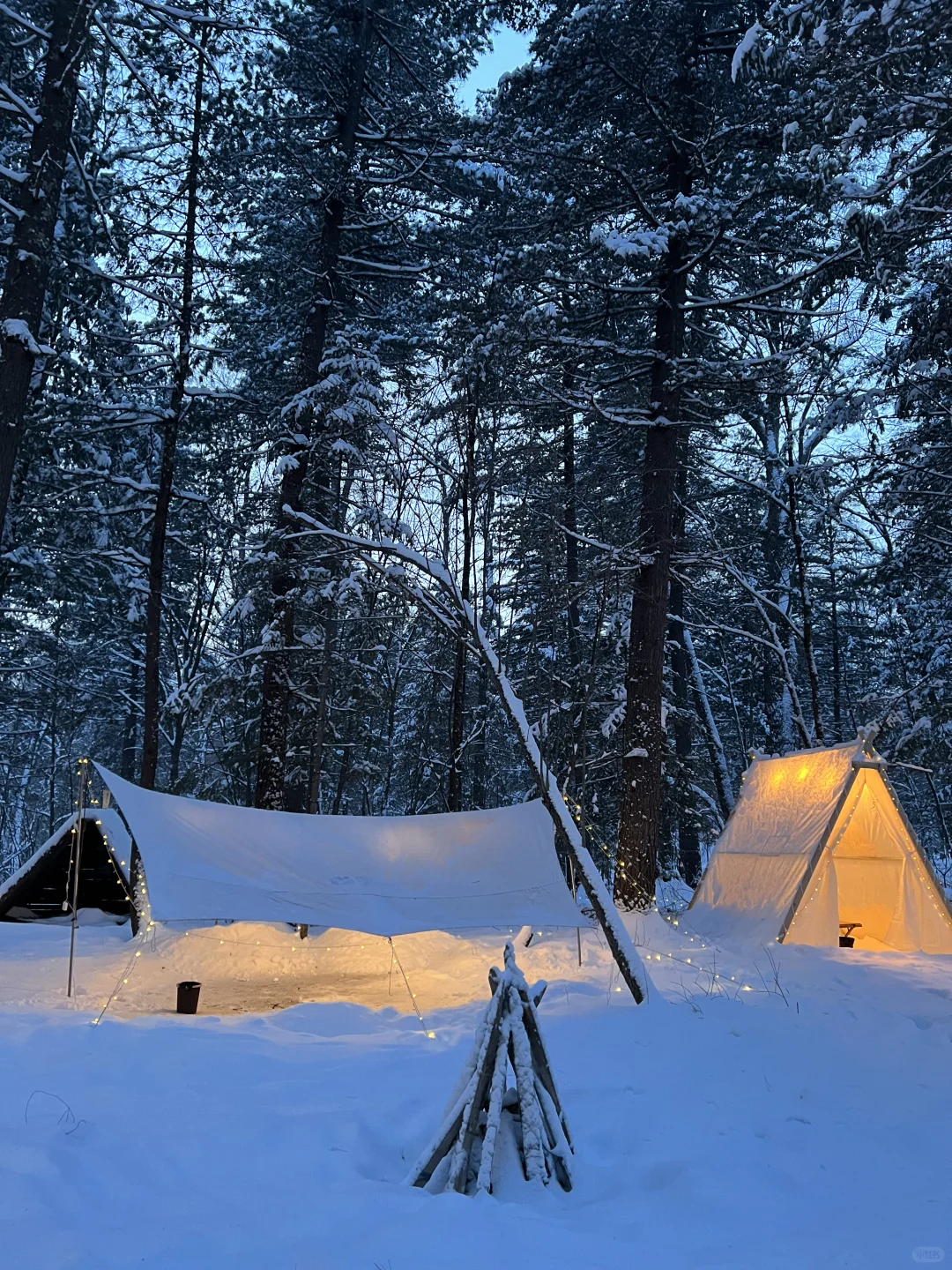 海拔友好 景色无敌的国内旅游地🏔️