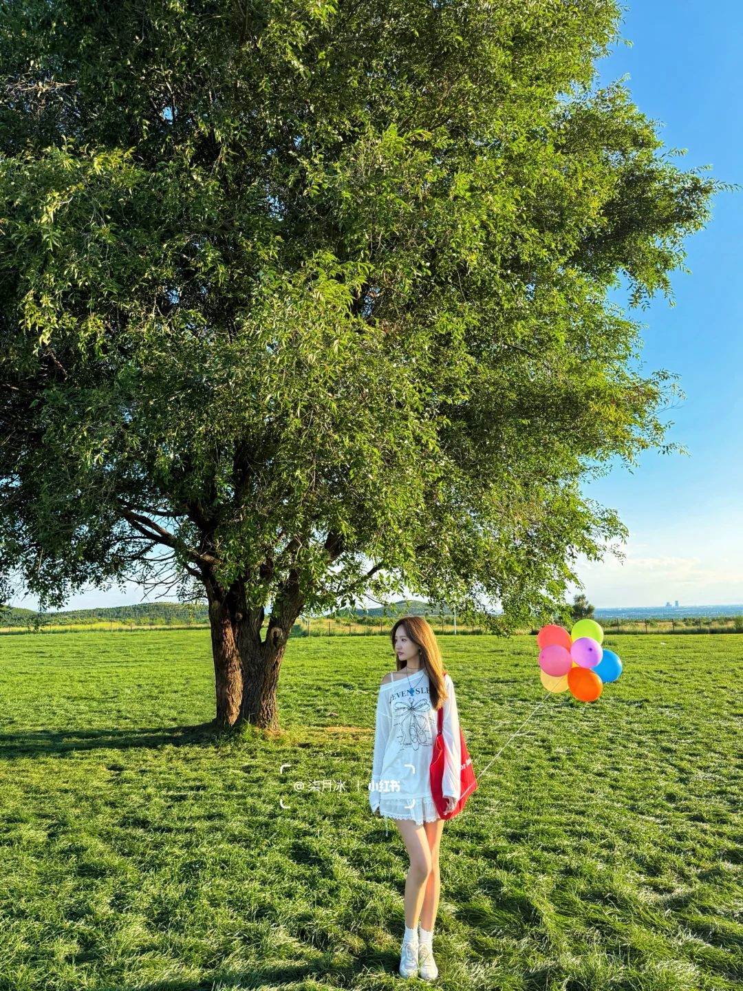 在大同！我找到了《怦然心动》同款浪漫🌳