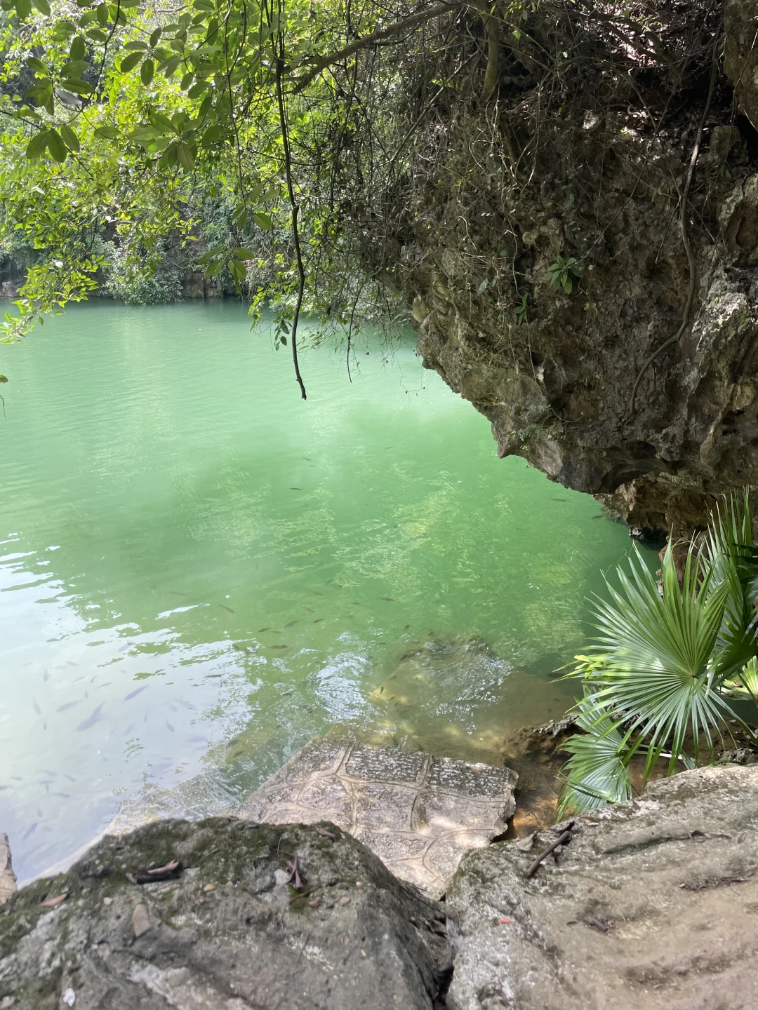 看图猜景点（柳州版）