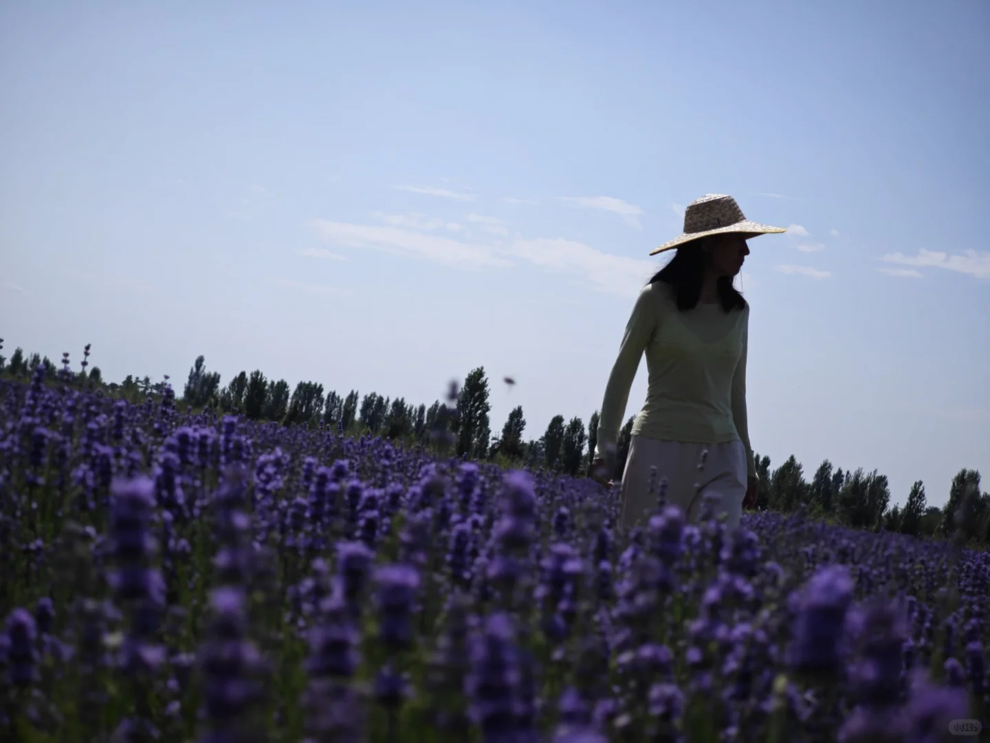 乌孙古道徒步2025年7月底