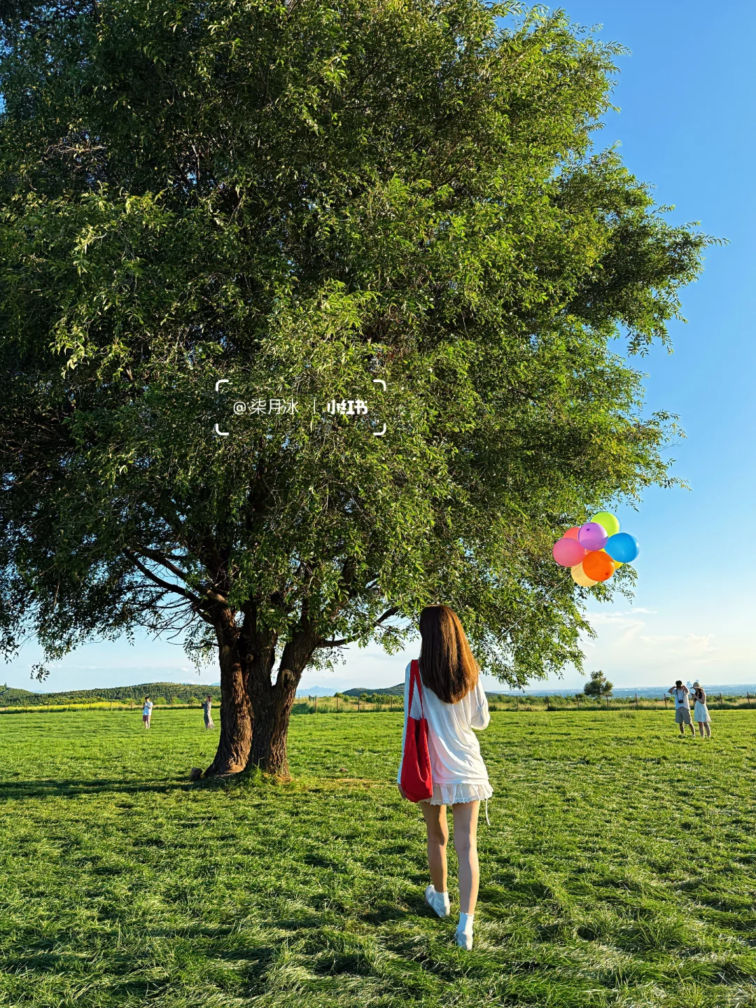 在大同！我找到了《怦然心动》同款浪漫🌳