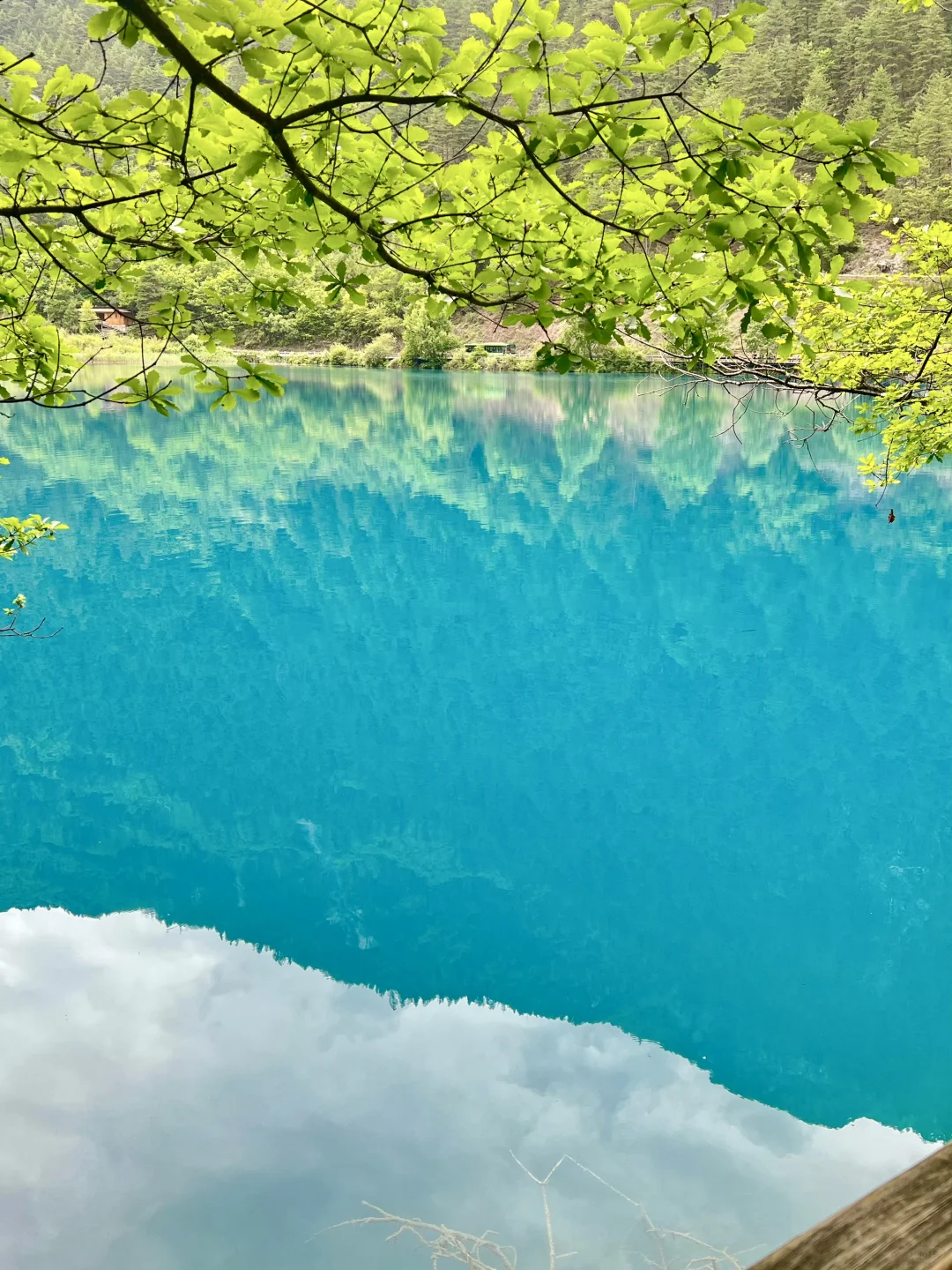 💥35 元直达九寨沟！高铁党自由行看过来！