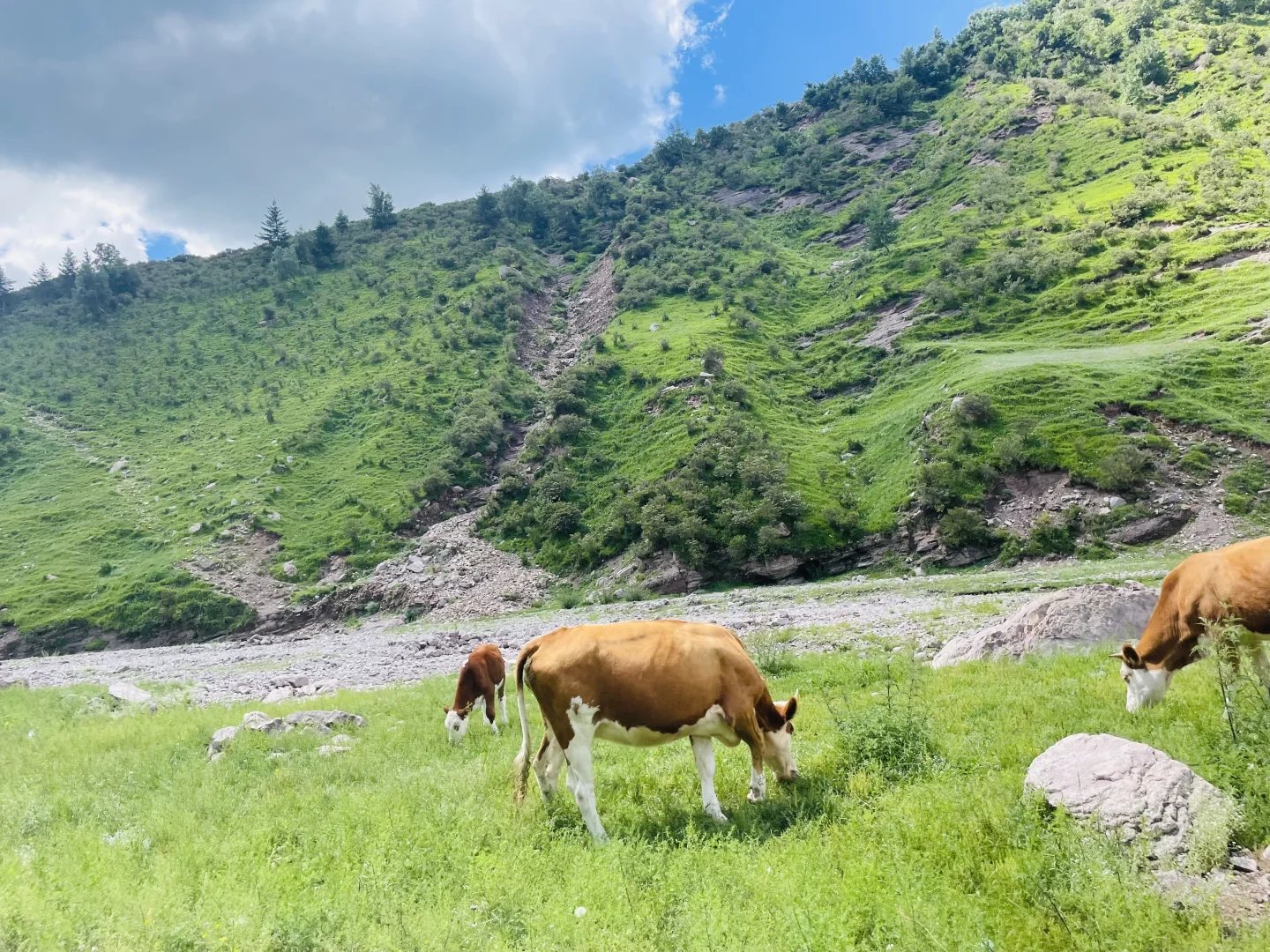 山东德州出发，去河北阿勒泰分泰-茶山