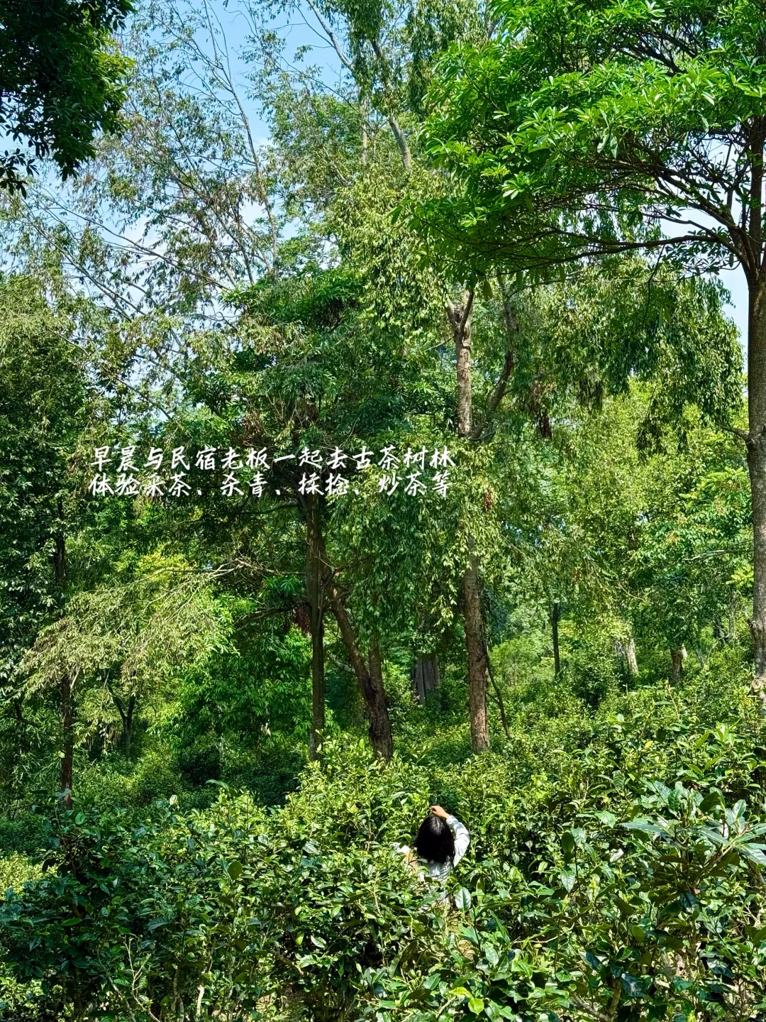 推荐一个云南绝对冷门但超级震撼的地方