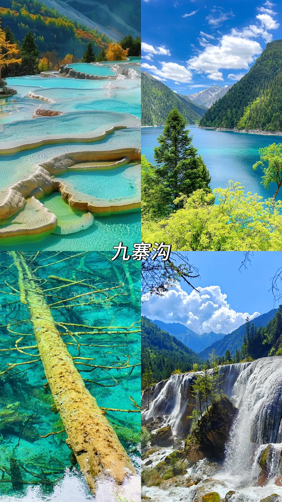 8️⃣月哪里玩✈️旅行地推荐（国内篇）