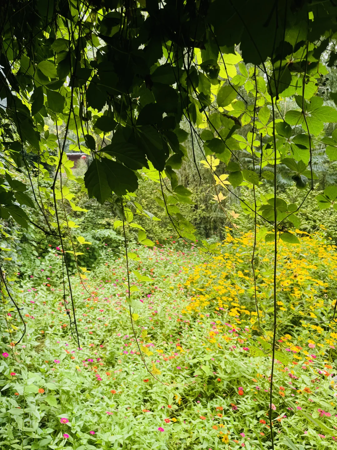 🚗石家庄沕沕水 | 周末溜达好去处