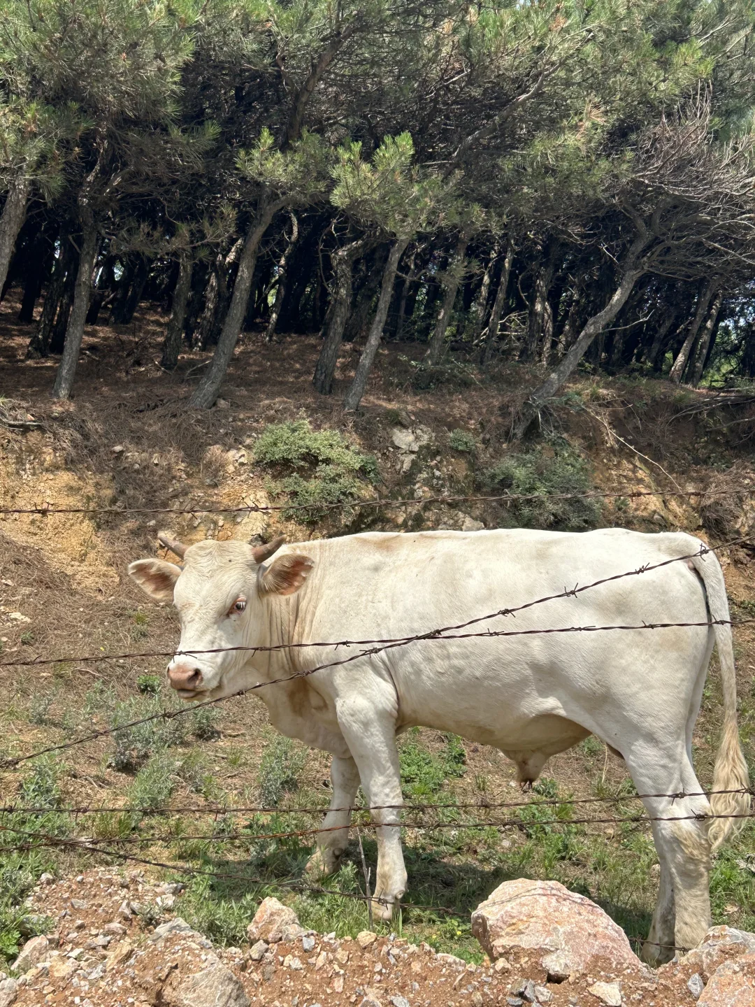 三门峡竟然有这么好看的地方！！