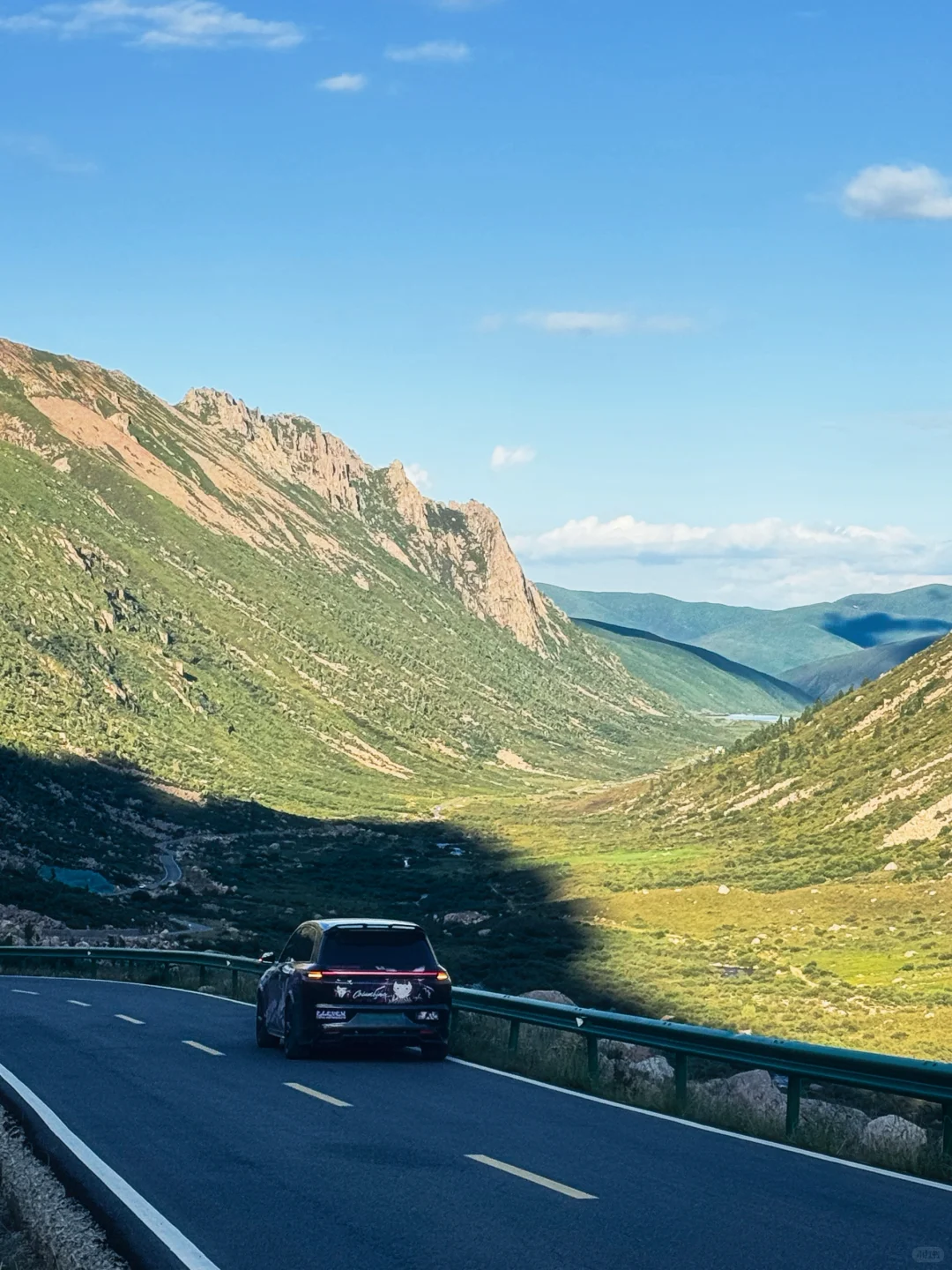 一天经历了莲宝叶则春夏秋冬