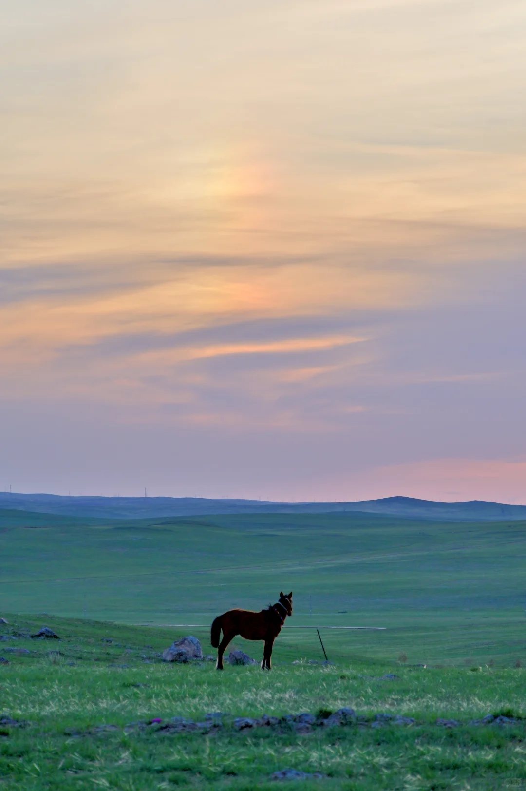 希望永远拥有出发的勇气 | 记希拉穆仁骑马