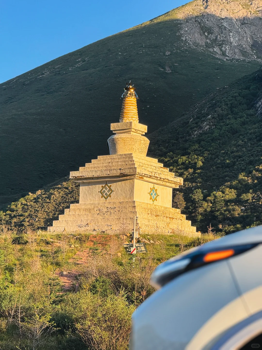 一天经历了莲宝叶则春夏秋冬