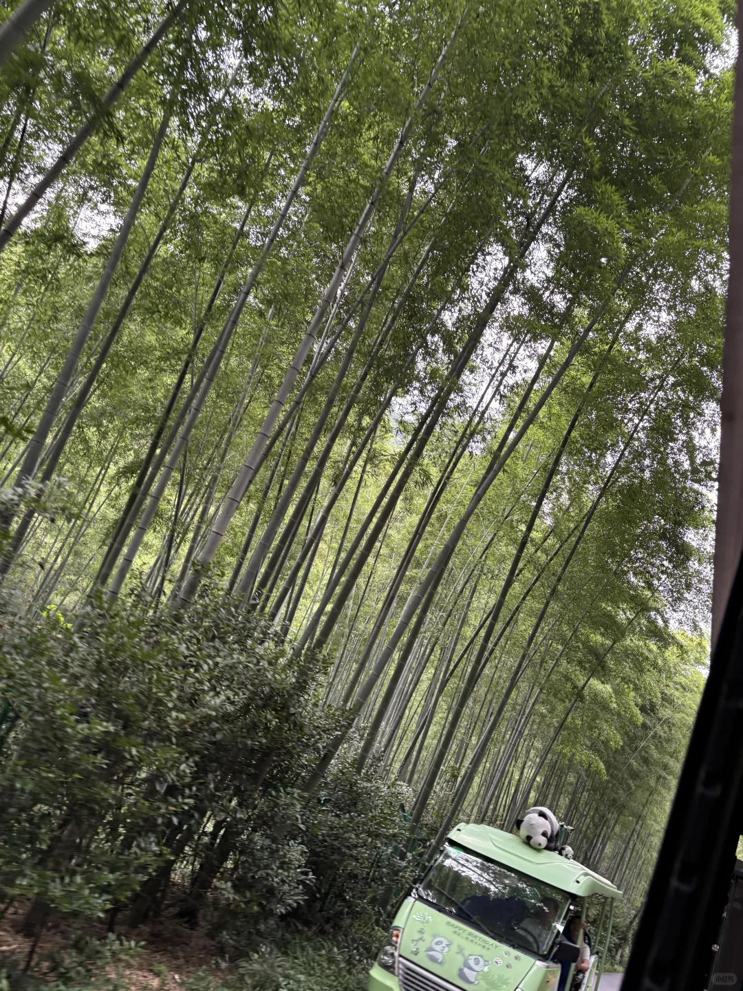 我又来到陌生的地方这里的话我一句也不会讲