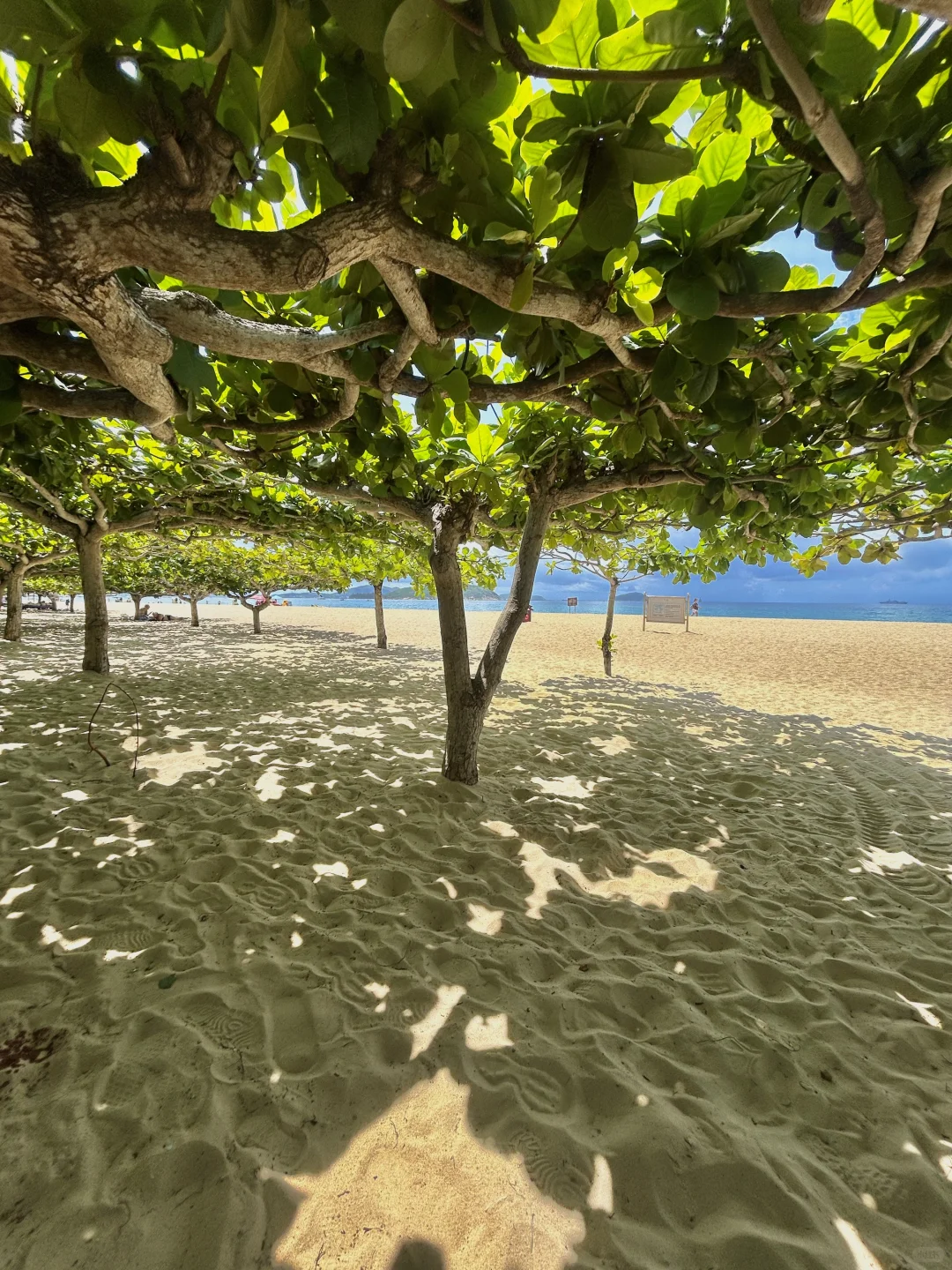 在三亚沙滩待了1天：原因是没预约😭