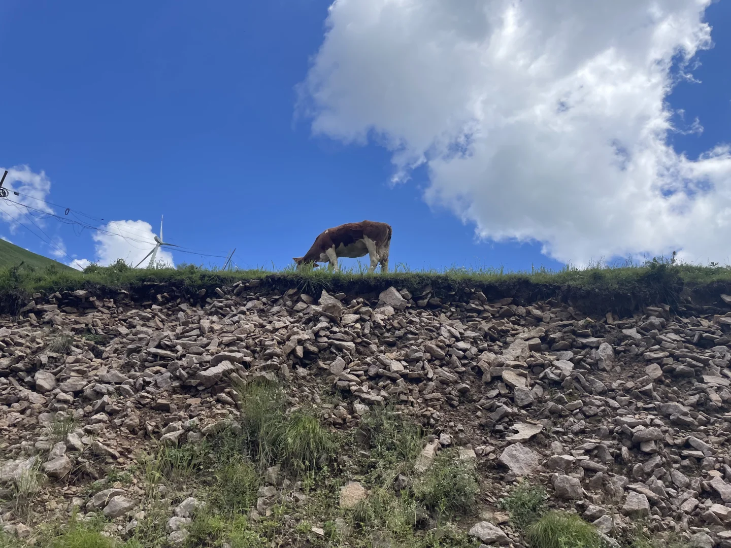 山东德州出发，去河北阿勒泰分泰-茶山