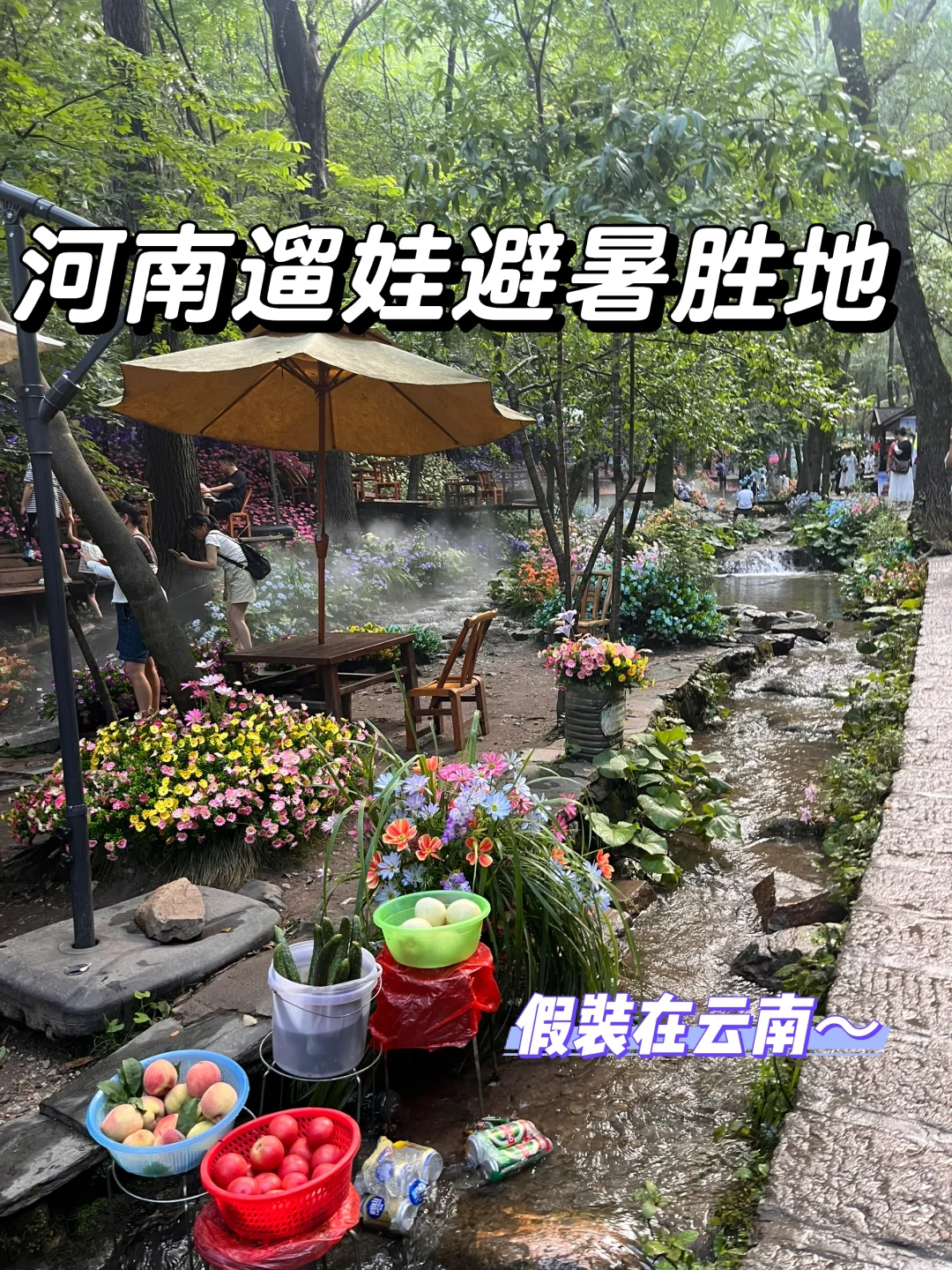 河南版“小云南”，玩水、避暑、遛娃全搞定❗️