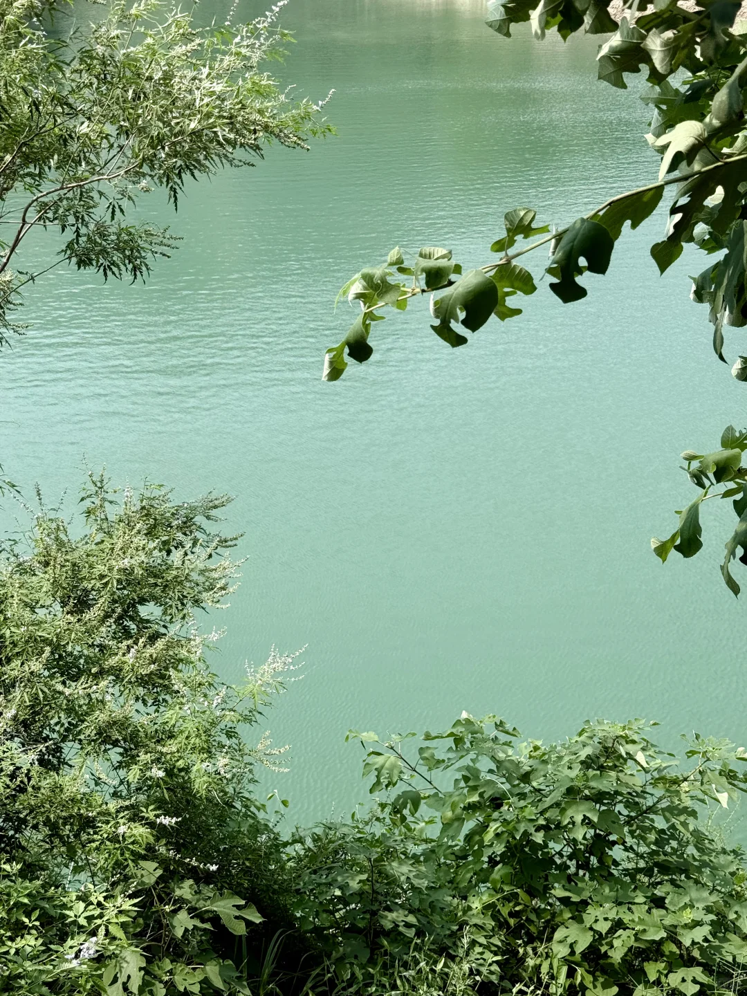 在阿勒泰？不！这是河南济源📍📍