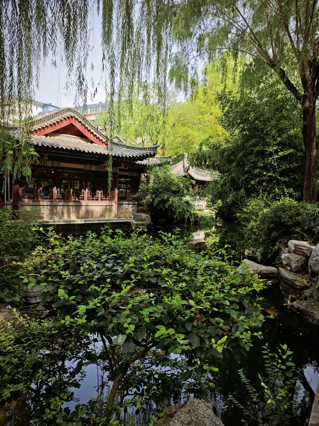 济南一日游记🌸🌸