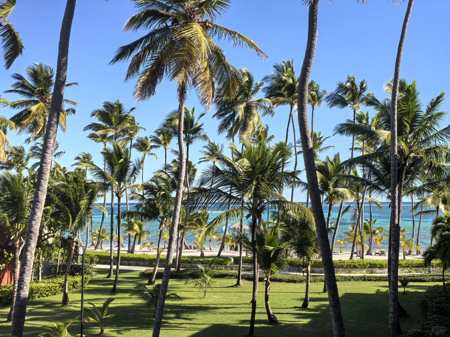 多米尼加、特立尼达及多巴哥---拉美旅游31