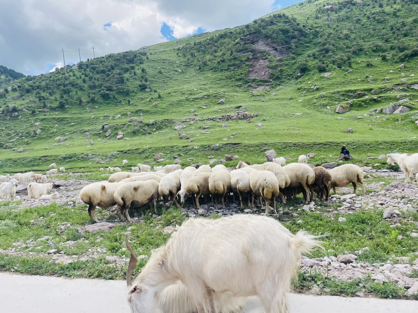 山东德州出发，去河北阿勒泰分泰-茶山